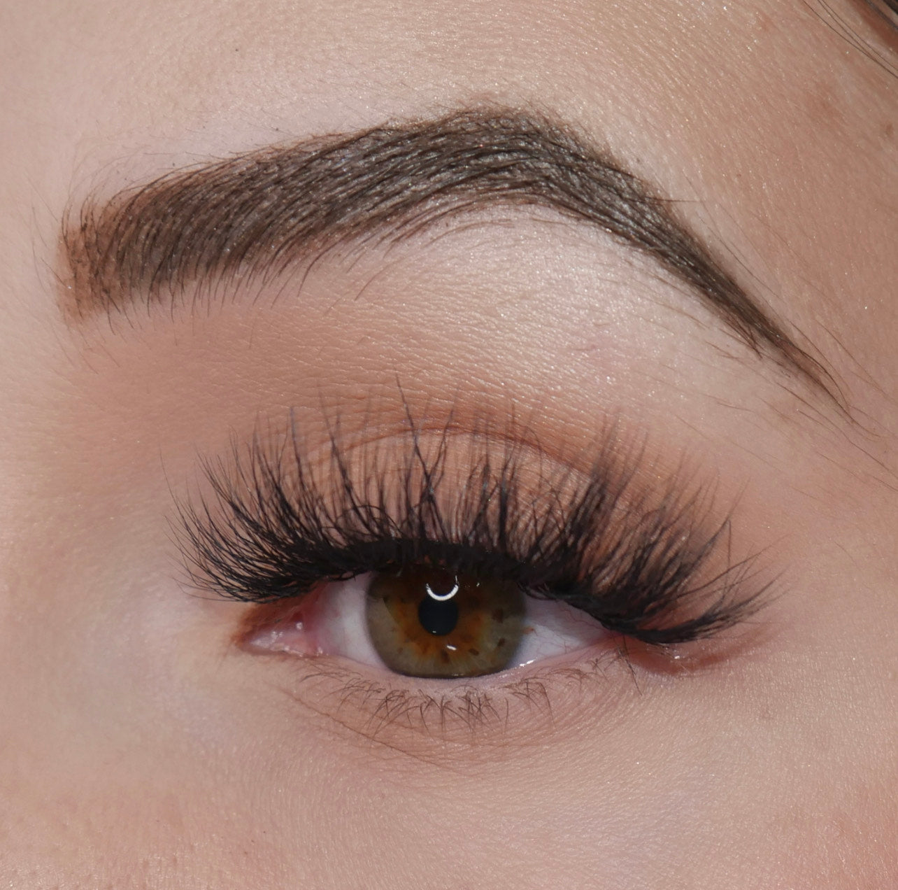 London Lashes- Premium