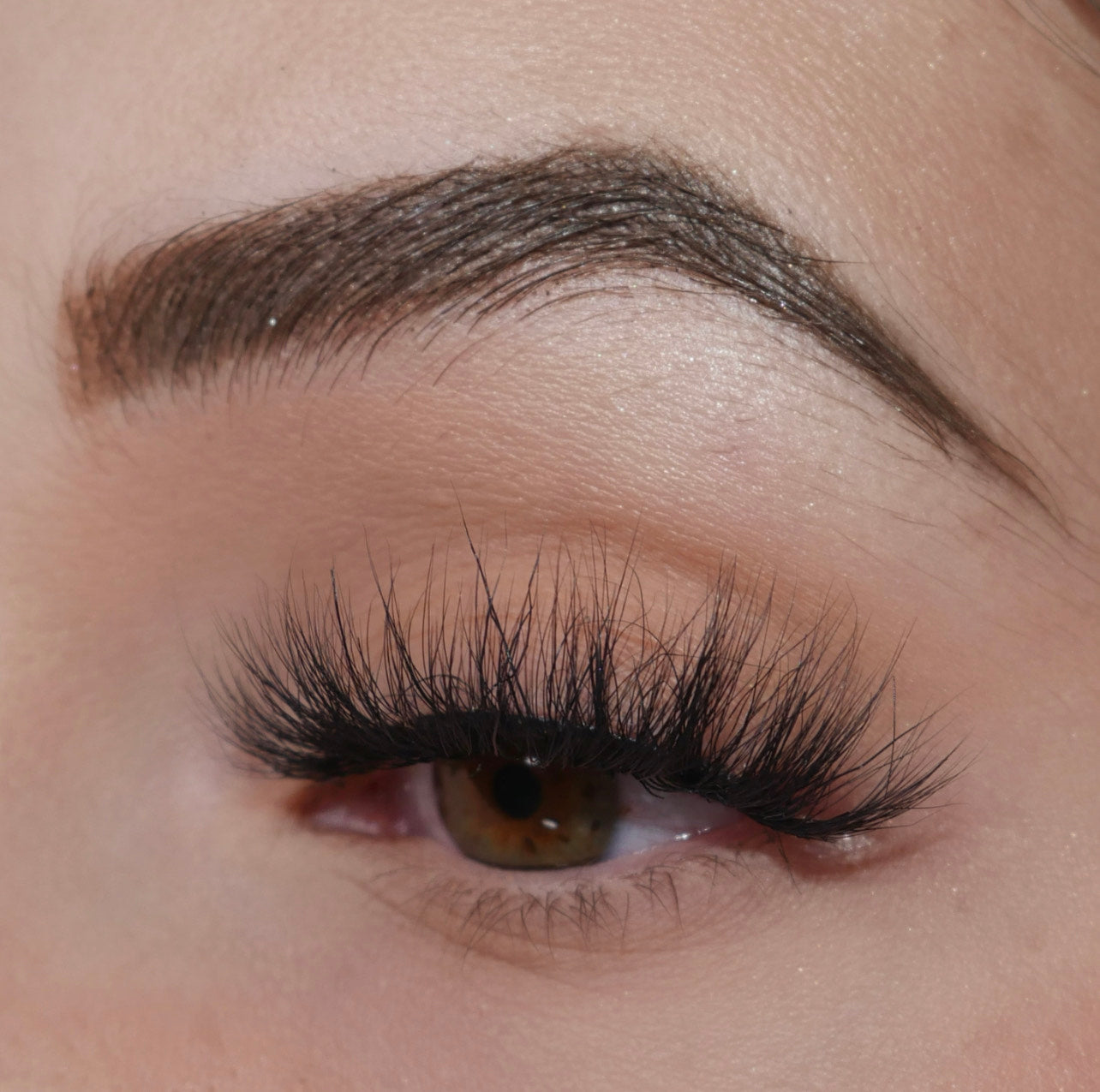 London Lashes- Premium