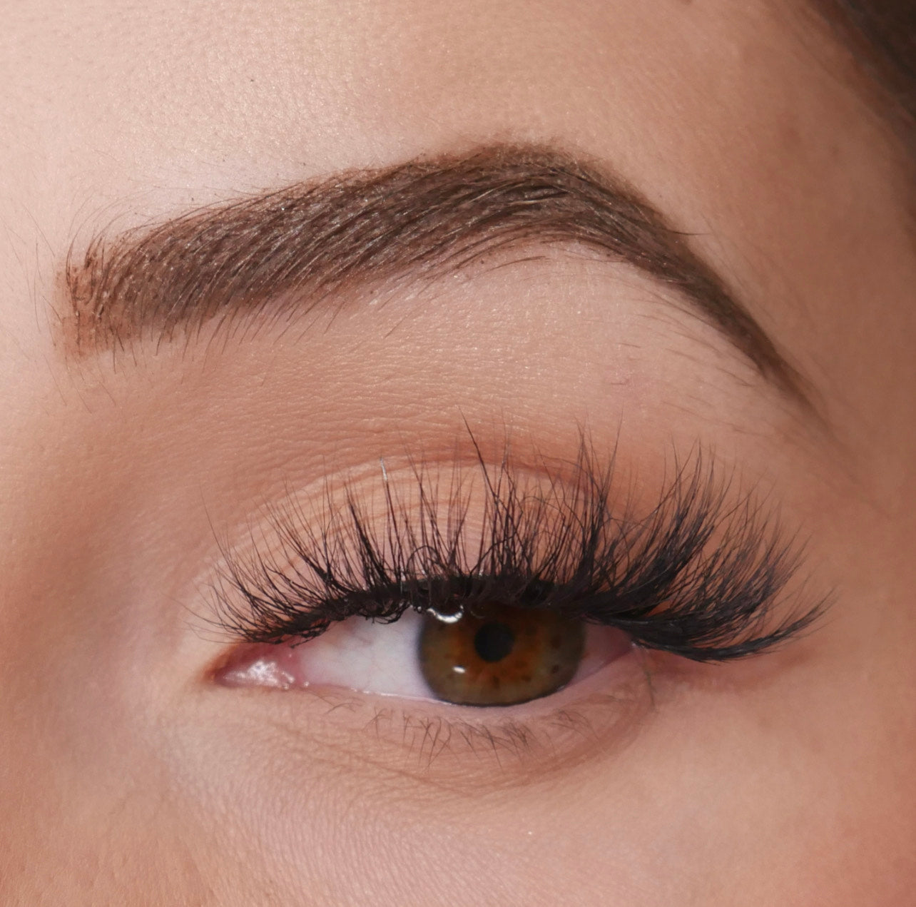 London Lashes 10 Pack Box - Premium