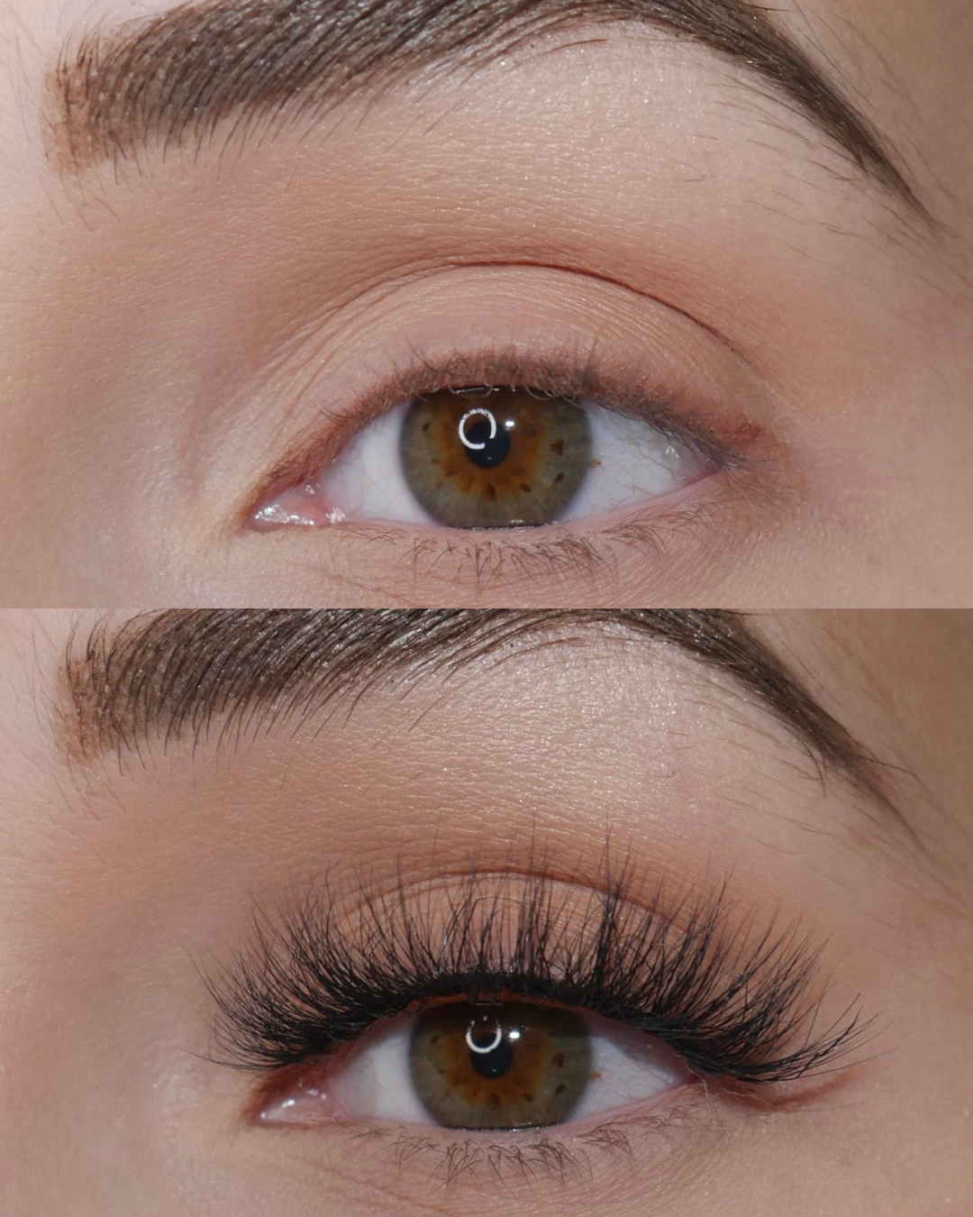 Paris Lashes 10 Pack Box - Premium