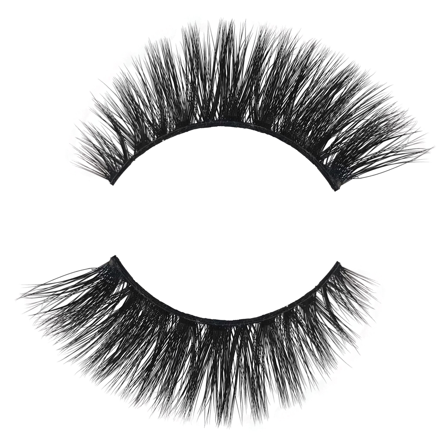 Favourites Collection