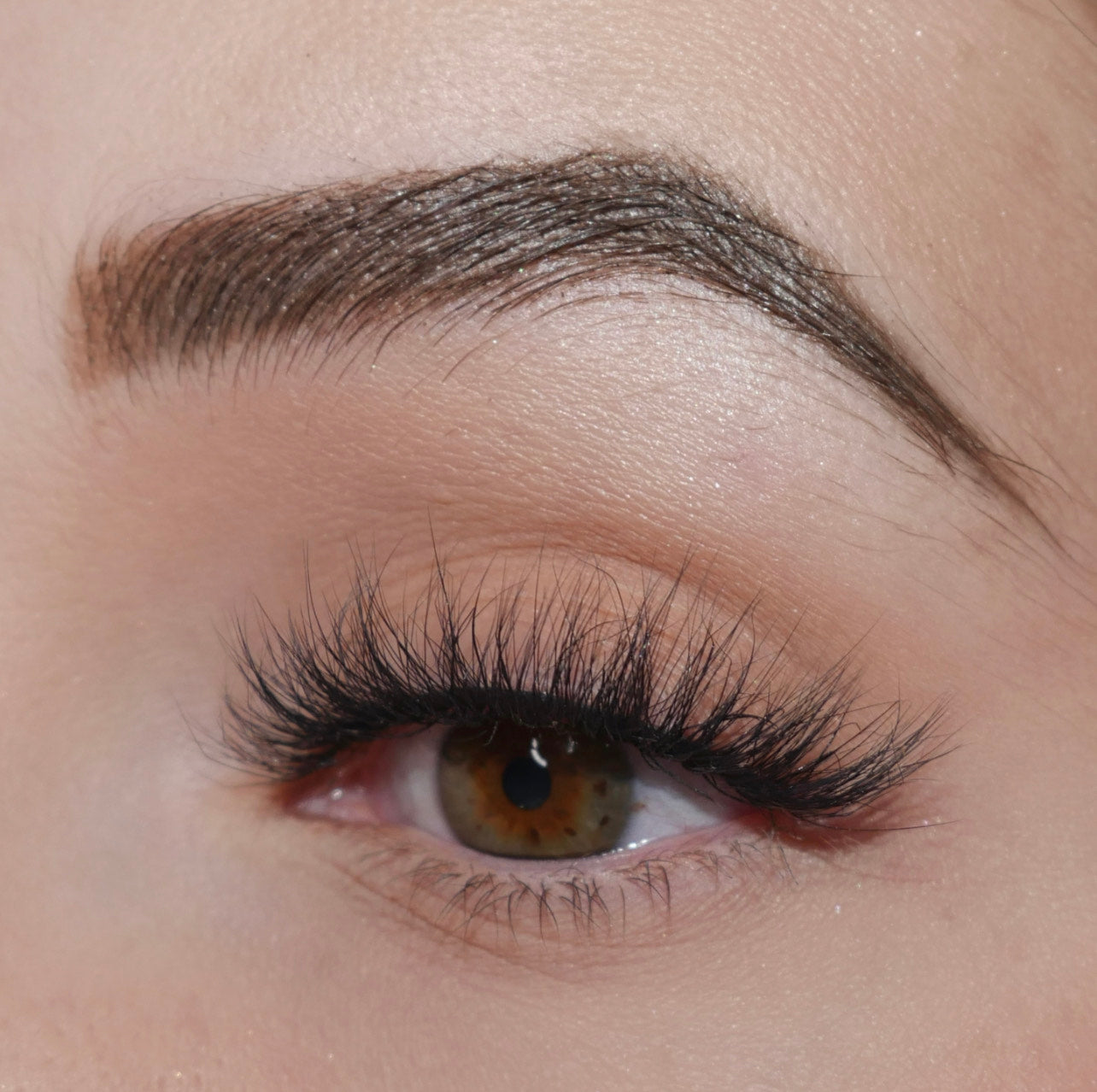 Vienna Lashes 10 Pack Box- Premium