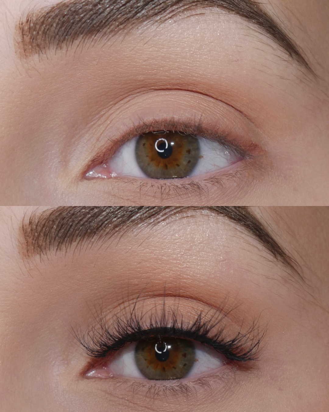 Milan Lashes 10 Pack Box- Premium