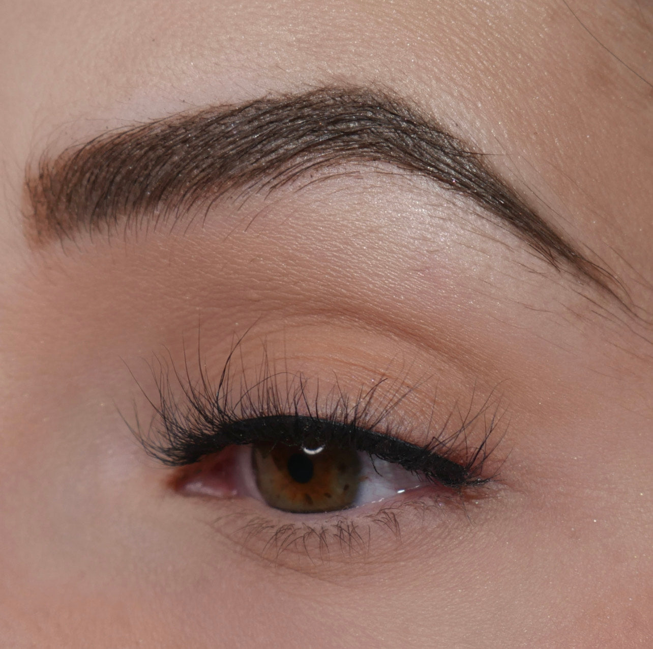 Milan Lashes 10 Pack Box- Premium