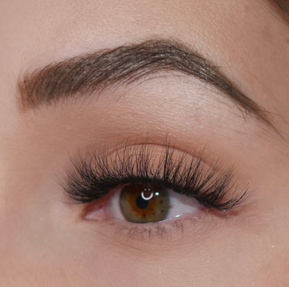 Paris Lashes 10 Pack Box - Premium