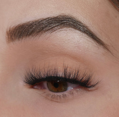 Paris Lashes 10 Pack Box - Premium