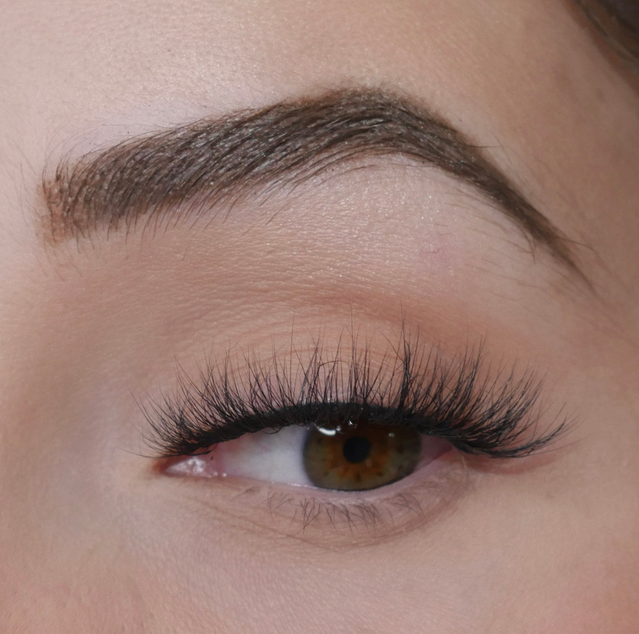 Paris Lashes- Premium