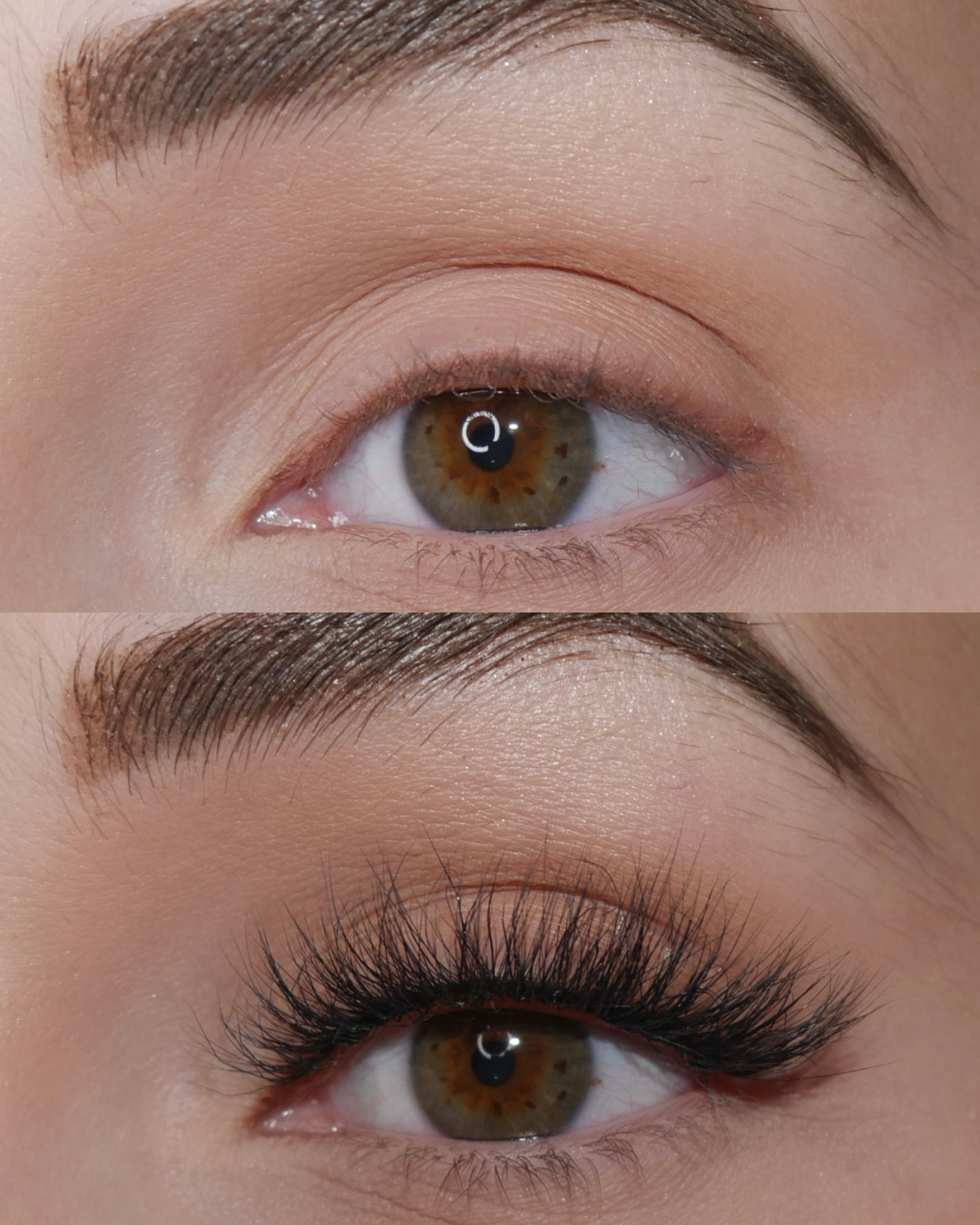 Vienna Lashes 10 Pack Box- Premium
