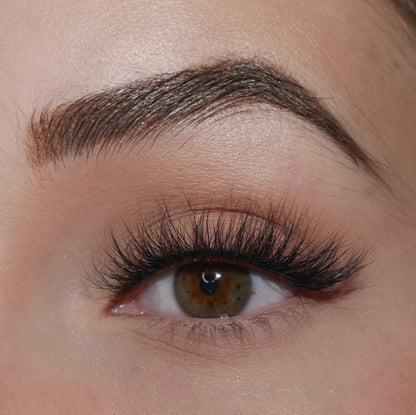 Vienna Lashes 10 Pack Box- Premium