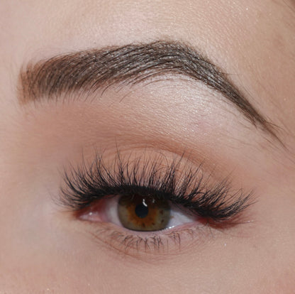 Vienna Lashes 10 Pack Box- Premium