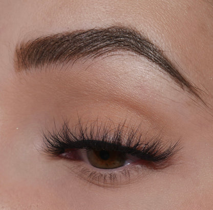 Vienna Lashes 10 Pack Box- Premium
