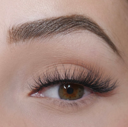 Vienna Lashes 10 Pack Box- Premium